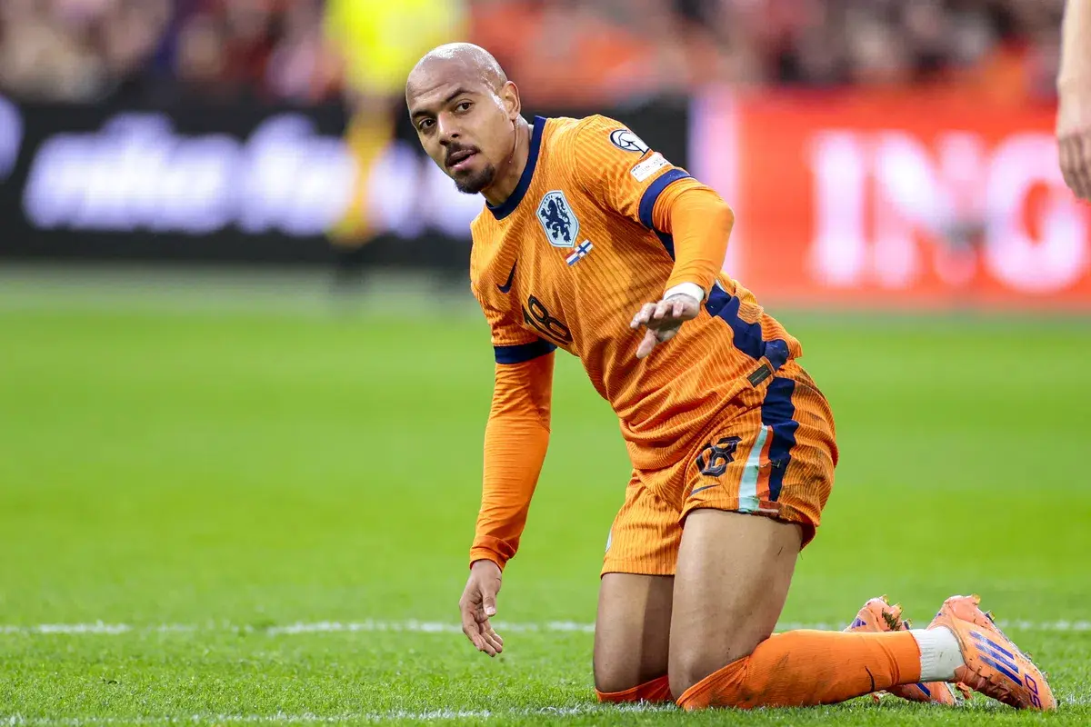 entit, 随着荷兰 entit, 随着荷兰